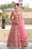 Pink Garden Mirror-Work Lehenga Set