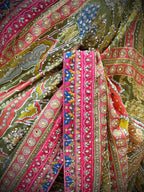 Multi Hued Embellished Saree