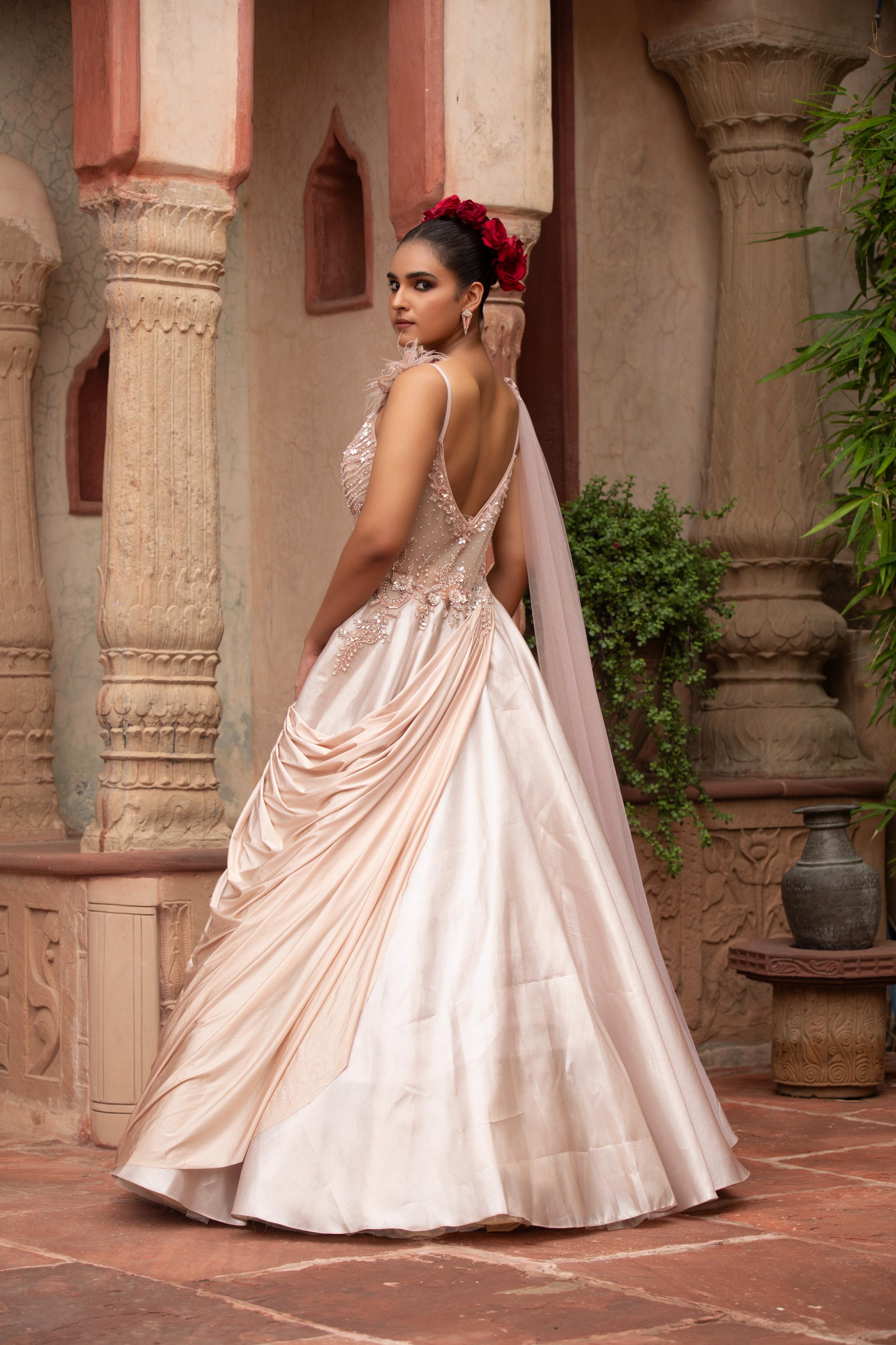 Pre-Draped Saree Gown with Feather Detail