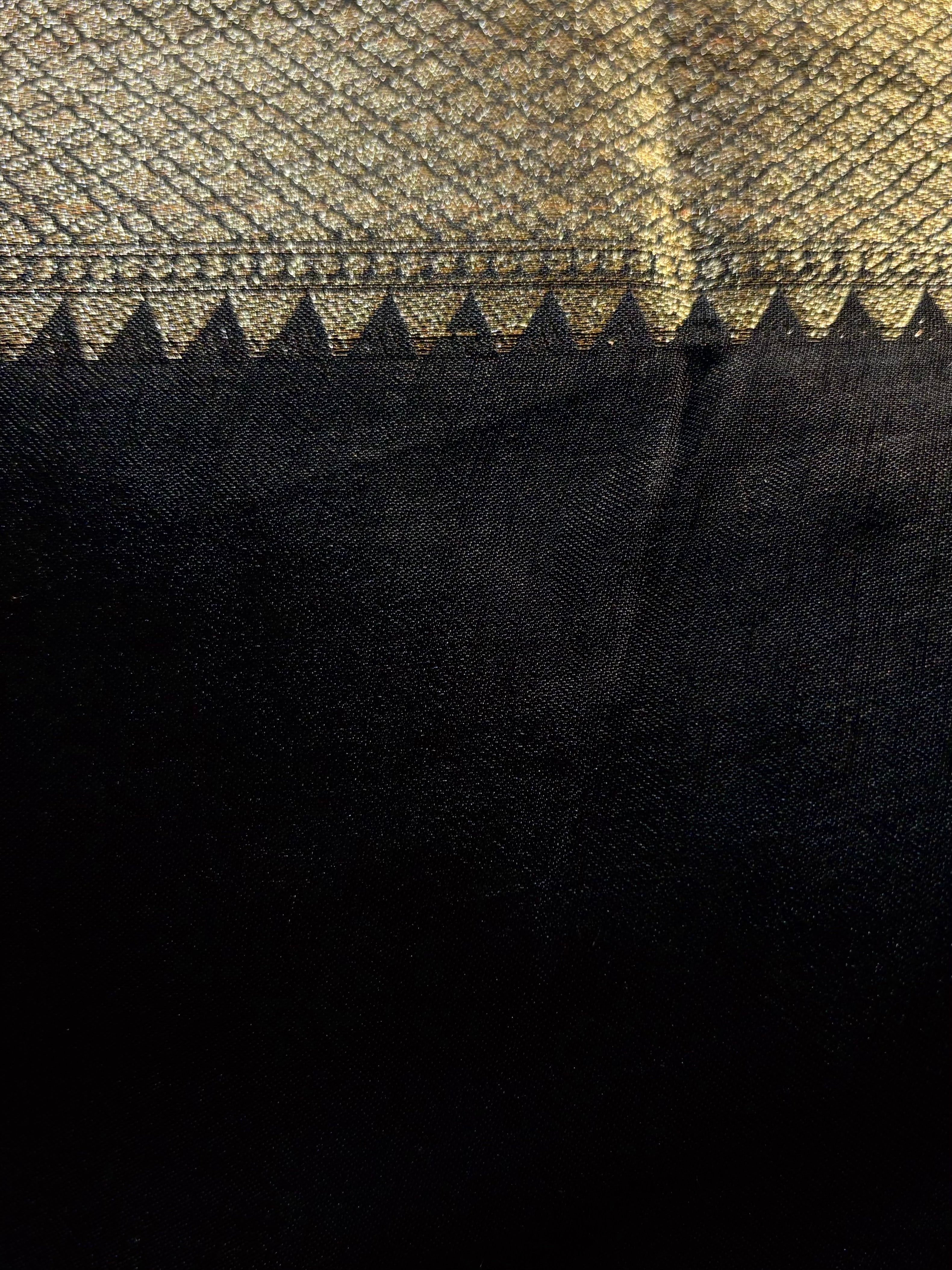 The Midnight Flora Saree