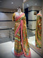 Multi Hued Embellished Saree
