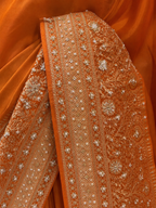 The Terracotta Radiance Zari Silk Saree