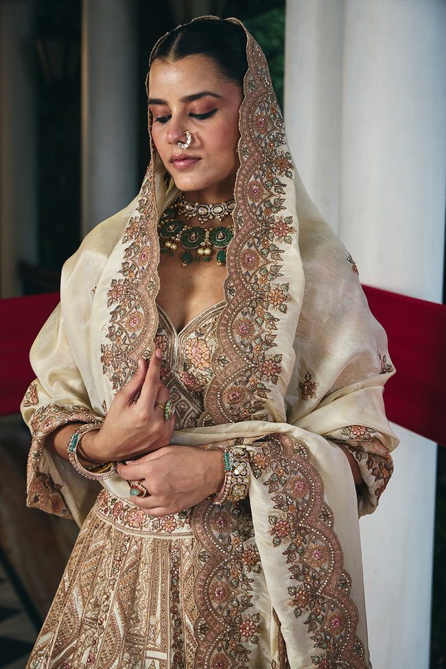 Ivory Mahal Palace Arch Heritage Lehenga Main Image