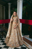 Ivory Mahal Palace Arch Heritage Lehenga